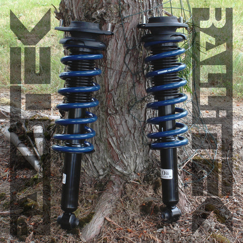 RalliTEK 0.25" Rear Springs & OEM Struts Assembled - Outback 2013-2014